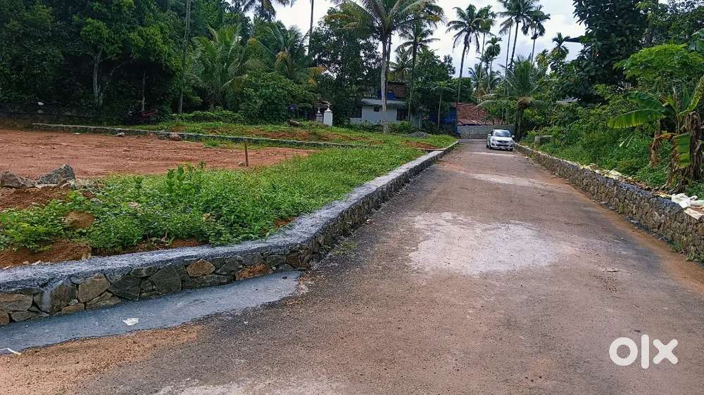 Angamaly Pulyanam road 4, 5, 8, 10, 20, cent plots