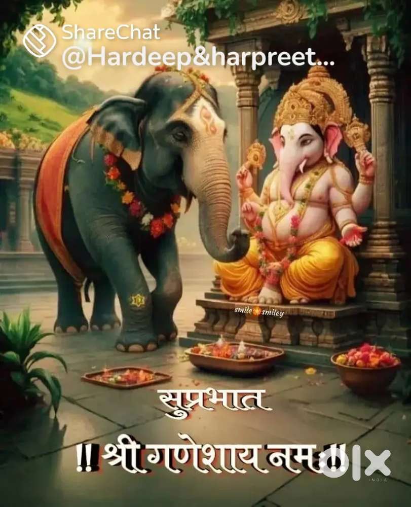 Marketing or telecalling