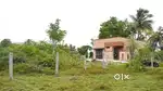 Nellikuppam On Property For Sale