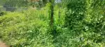 Commerical Land -9 cent for sale near Vadakke Bus stand, Thrissur.