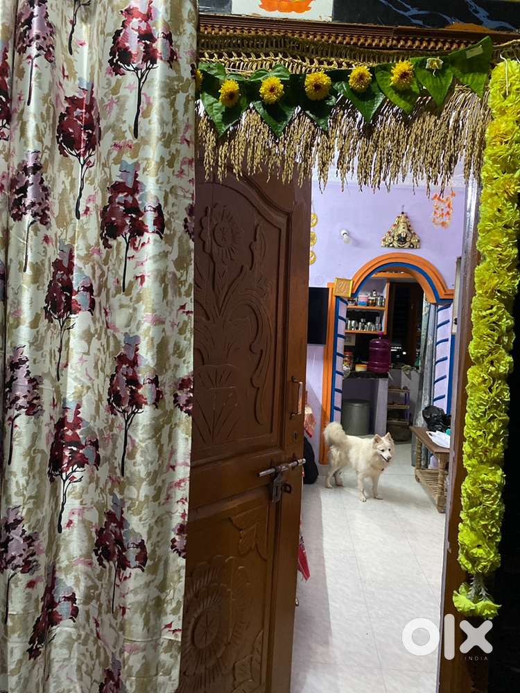 House for LEASE In MADANAPALLE