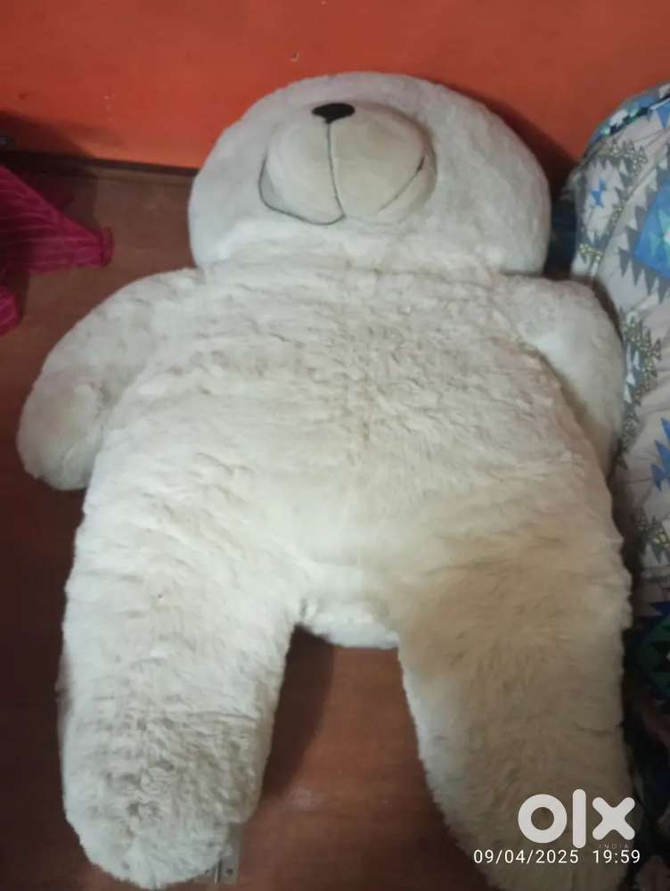 Teddy bear for sale.