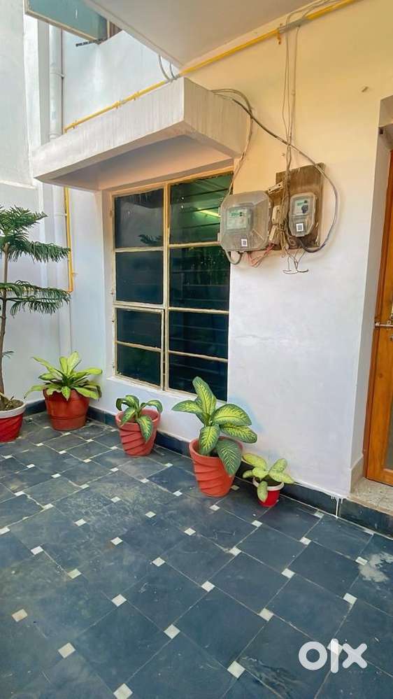 Rent bhandhavgarh colony