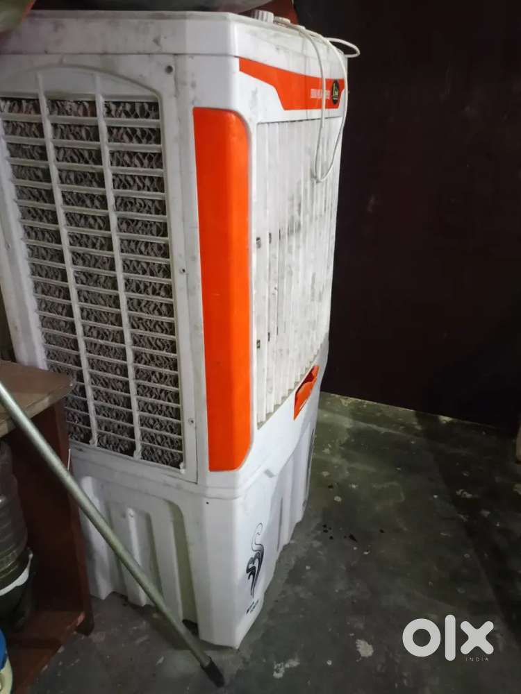 Electronic cooler