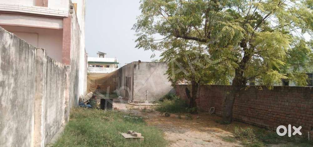 Commercial Dairy in Kaithal