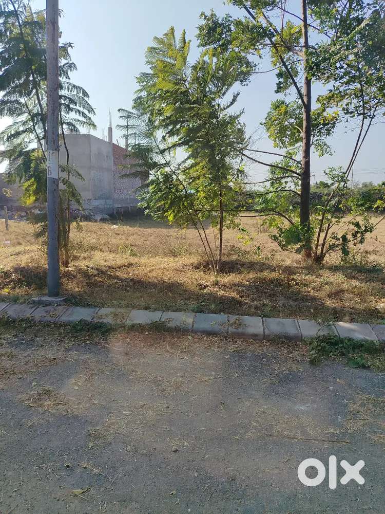 100 sq. Yards Plot for Sale in Altus, New Chandigarh