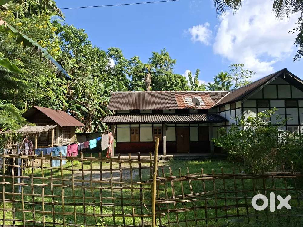 4 katha land in road side