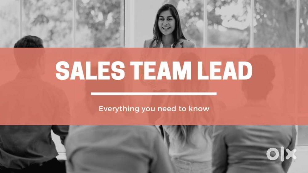 Sales Team Leader (Work From Home – BigKyte)