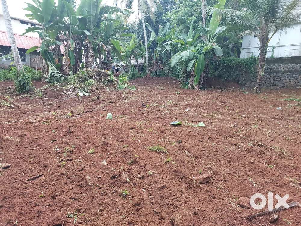 18 cent land for sale 200 meter away from KK road near RIT at Pampady
