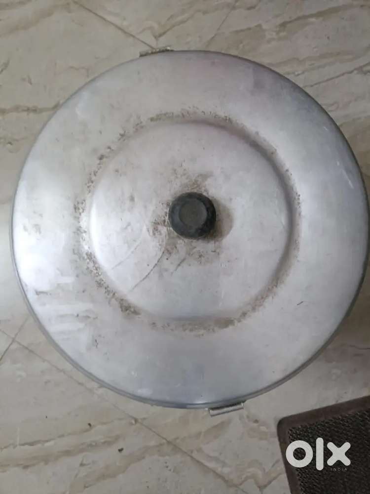 Momos steamer commercial