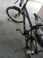 A cycle vijata
