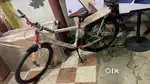 Brand new 2 bicycles for sale