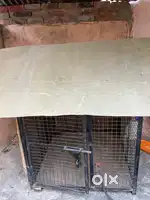Dog cage new