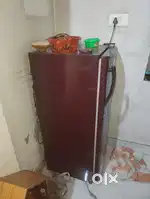 New lena hai esliye