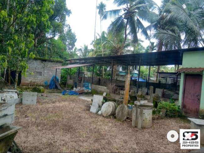 4 BHK house for sale in Koonammavu, Ernakulam