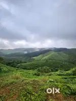 Commercial land for homesstay
