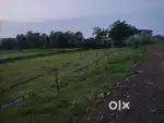 Panchagan re road side plot ଗୁଣ୍ଠ 3ଲକ୍ଷ୍ୟ 20 ହଜାର fix rate