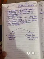 I can teach children from Class 1-6