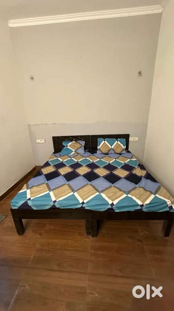 Need Female Roommate