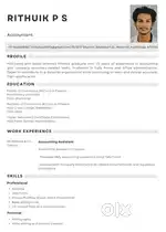 Accountant job