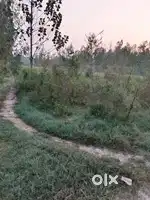 Gaon main hai 1 km dur haiway hai or adda by pass rod pe ye jammen hai