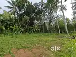 Vizhinjam Commercial plot - 80 cents for immediate sale
