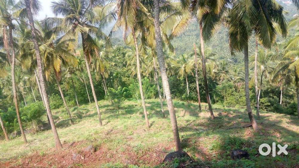 Manjeri Municipality