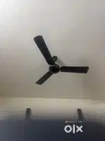 Ceiling fans