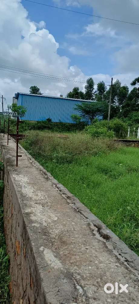 Per square yard. 35000