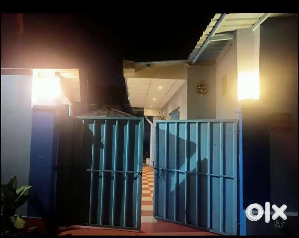 Individual house for rent