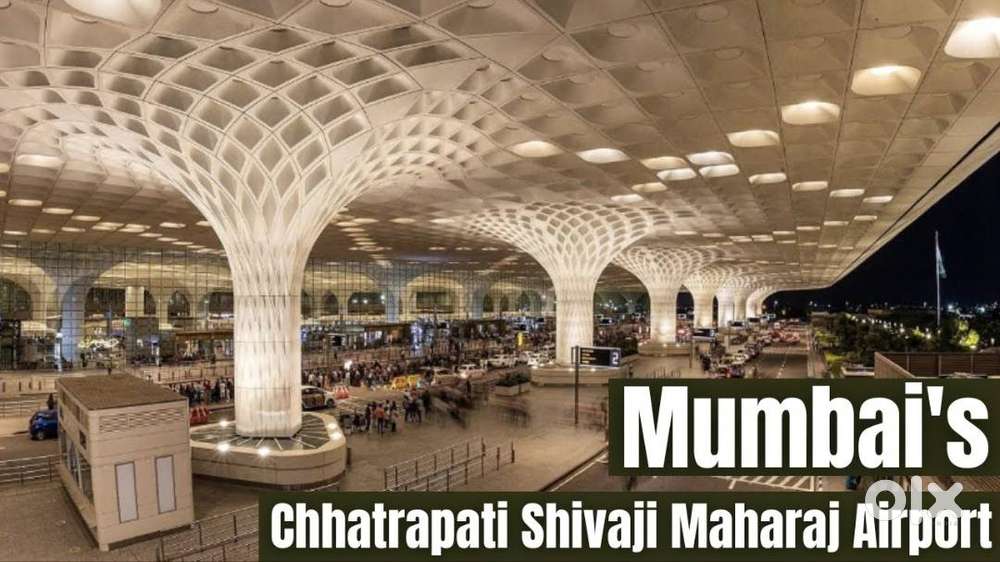 Airport Ground Staff Executive at Chhatrapati Shivaji Maharaj airport