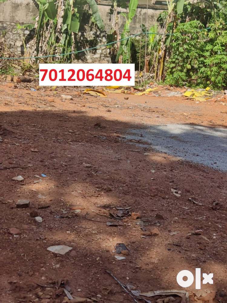 (IDU190536) Residential 7.3 Cent Land For Sale At Kuravankonam
