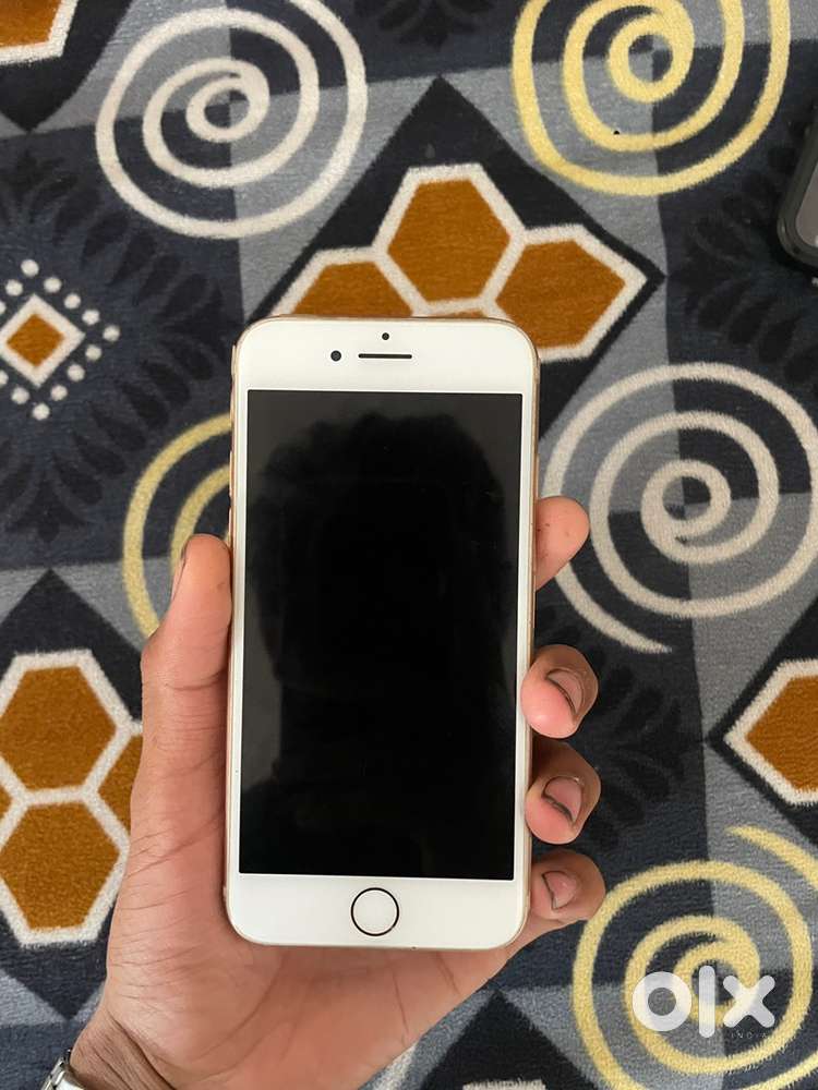 iPhone 8 ( 64 GB )