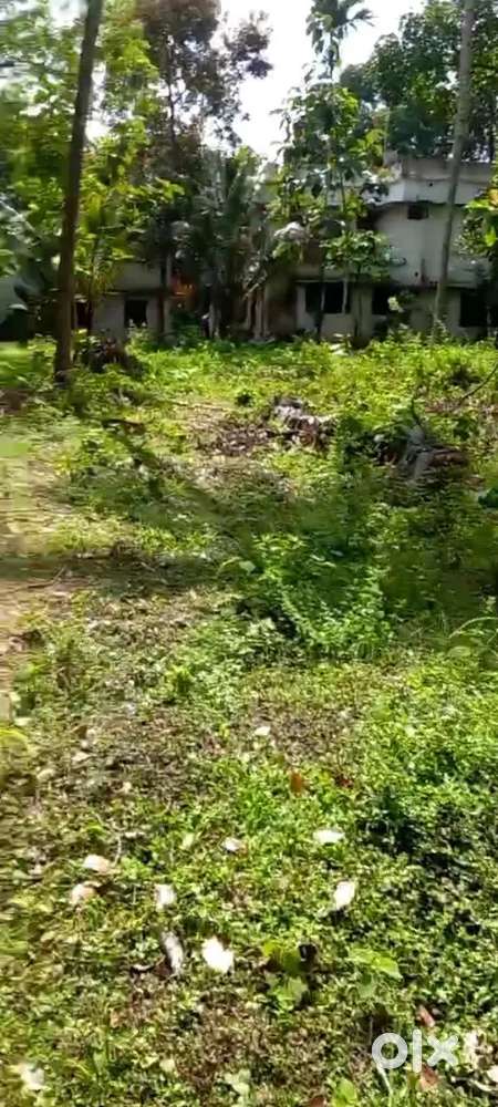 God place for housing near kstrc depo chathannoor kollam