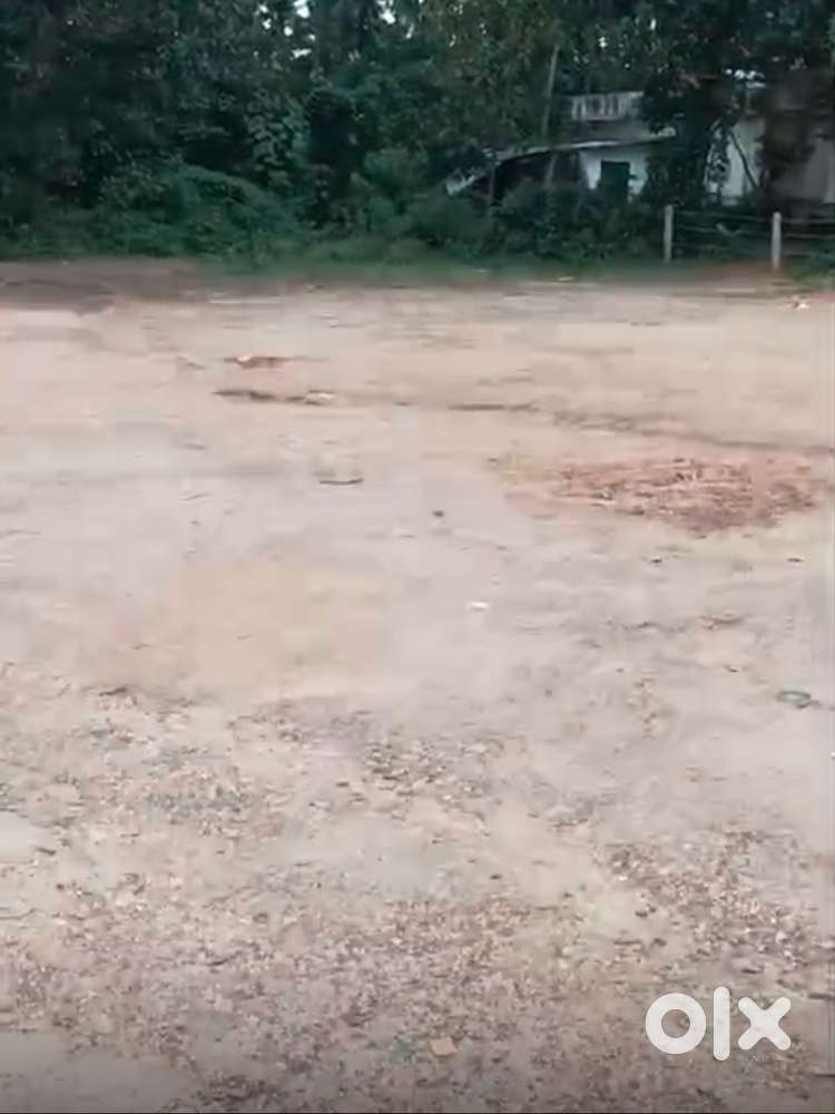 Land 32 sence for sale