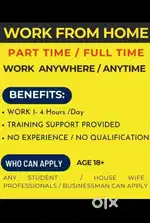 We are deal in work from home project 
Work is totally online