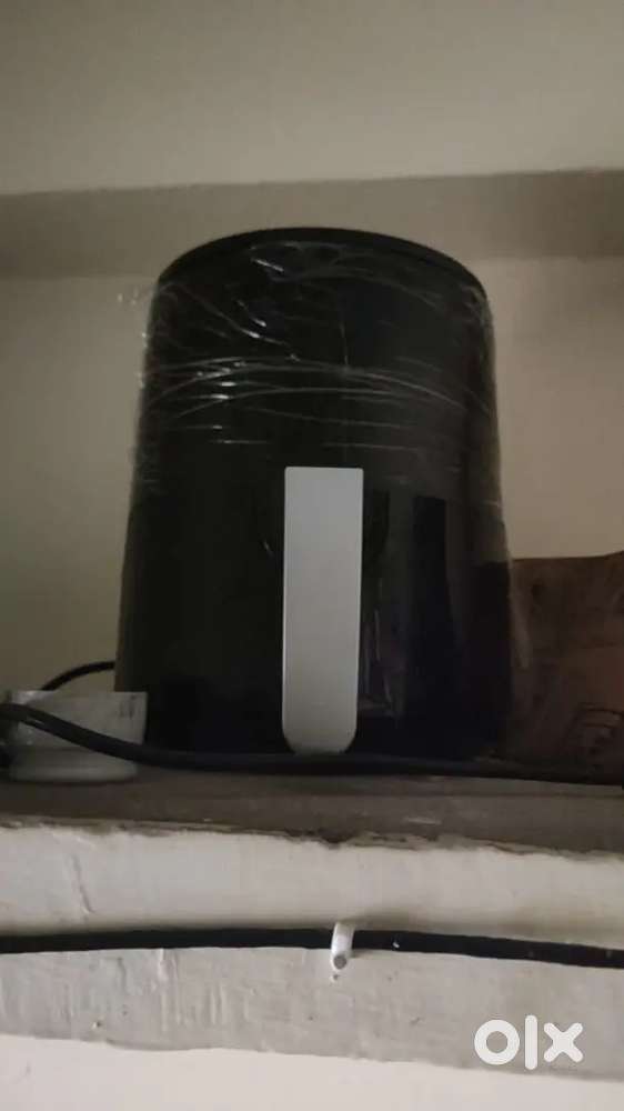 Electric item