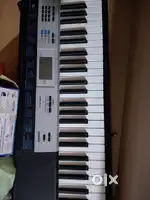 Casio available for sale