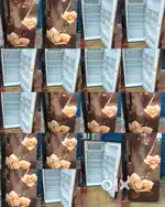 { HAIER { FRIDGE } SINGLE DOOR + NEW MODEL AND NEW CONDITION