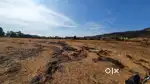 Open area, big land