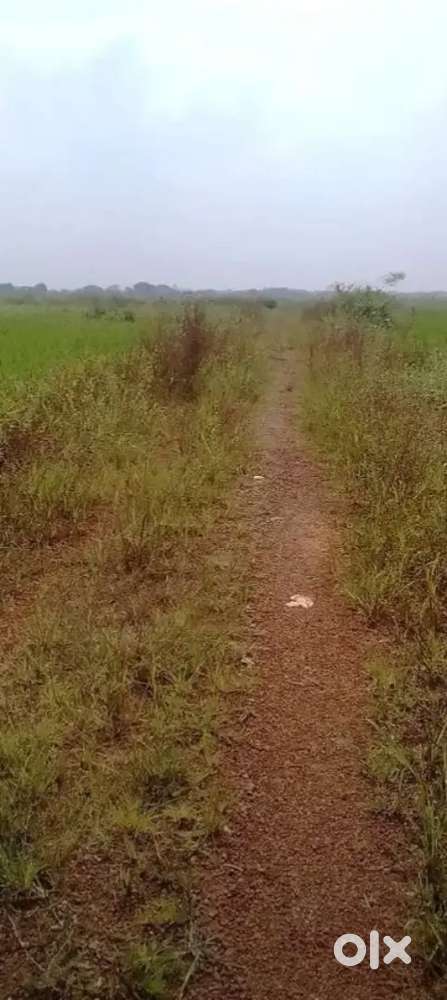 Plot for sale near bhagbanpur/patrapada