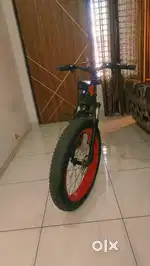 Fat tyre cycle