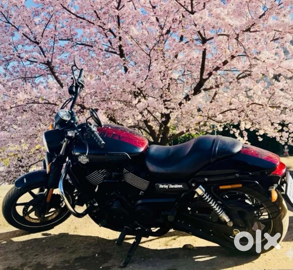 Harley Davidson Street 750 in excellent condition