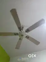 Five legged fan