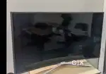 Samsung 50 inch curved tv for sale