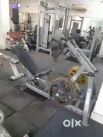 Fitline imported Old Gym Setups For Sale 2nd hand gym Second hand gyms