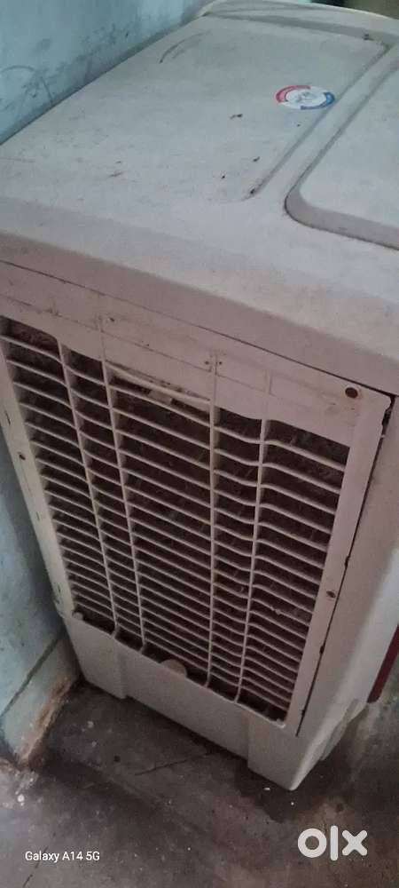 Cooler 1 year old