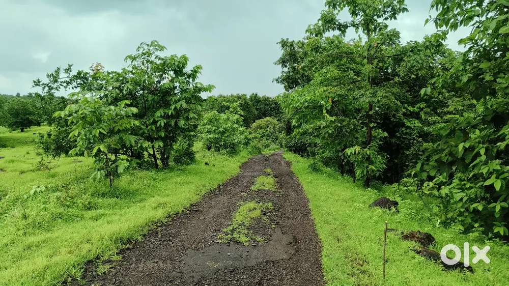 Agricultural Plot facing waterfalls