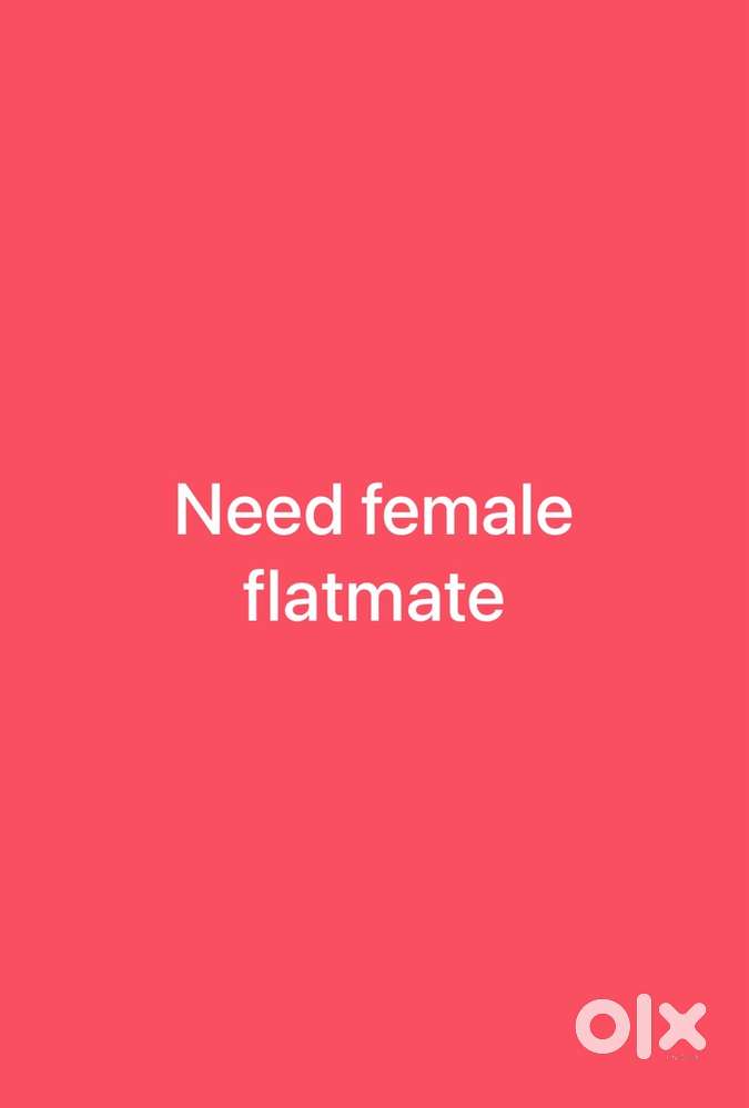 Need female flatmate