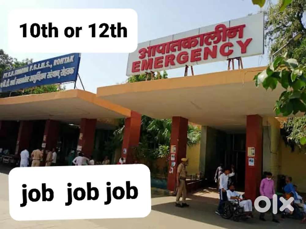 JOB (P.G.I.M.S) Hospital JOB rohtak (10th or 12)